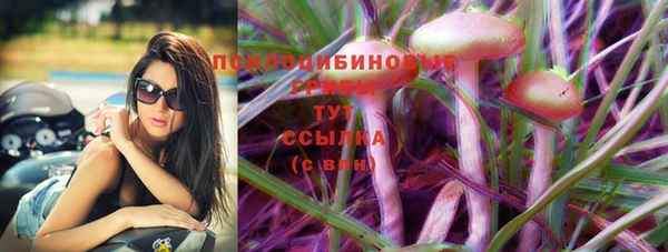 mdpv Баксан