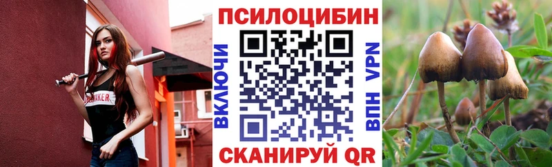 сайты даркнета Telegram  ссылка на мегу   Кукмор  наркошоп  Галлюциногенные грибы GOLDEN TEACHER 